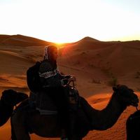 Vasilis Papavasileiou's Photo