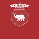 Foto de Baile Encantado do Elefante de Olinda 2024