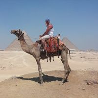 Freddy  Lasagna的照片