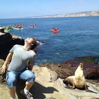 andrew  brieff的照片