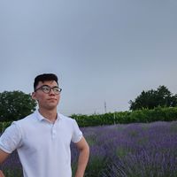 Timur Islomov的照片