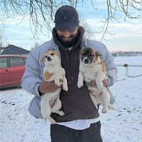 Photos de Nirshan Rajan