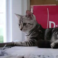 Hui Chih Chen's Photo