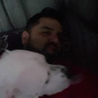 Fer Nando Jardim's Photo