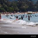 Kata CS Multiday  meetup Group's picture