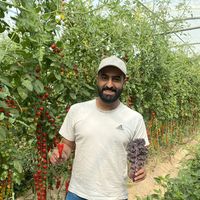 Ahmed Bohasan的照片