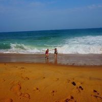 Fotos de Alicia Guyot