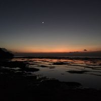 Stephen Leonardi的照片