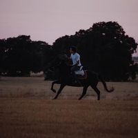 Pablo Diaz Rato's Photo