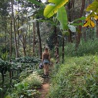 Hanna Altena的照片