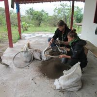 Albert London的照片