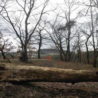 Eliška Petáková的照片