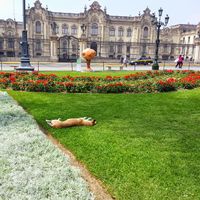 camilo Enrique的照片