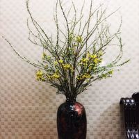 Lotus Nguyen's Photo