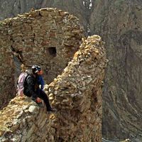 Forough Habibi's Photo