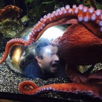 Ryan Harris的照片