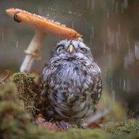 Photos de Thibault Mattan