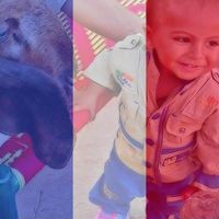 Fotos de Shahbaz Akbar