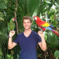 Matyas Hilgert's Photo