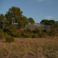 Nicolas Mari's Photo