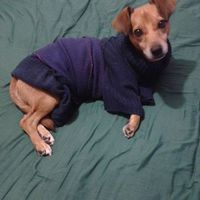 Fotos de Esme Alvarado Torre