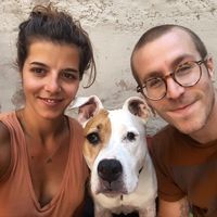 Mike Le Curieux's Photo