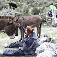 Kallan Smith的照片