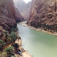 Zdjęcia użytkownika Saeed Oma