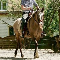 Calvin Waters's Photo