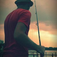 Fotos de Robin Palmer