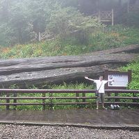 MARS 王介民's Photo