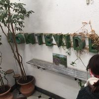 Valeria Castillón的照片