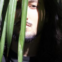 Amin Bahremand的照片