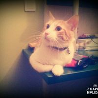 Iker Martin Macho's Photo