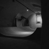 Vincent Roche的照片