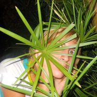 Leila Ghiabbi's Photo