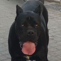 Loredana Roman的照片