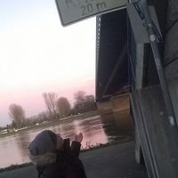 Alice Korenskaya的照片