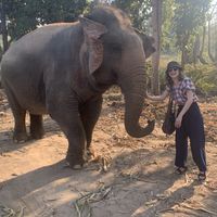 Pauline Siggen's Photo