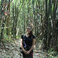 paula  celine的照片