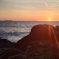 Mateusz Pawelec's Photo