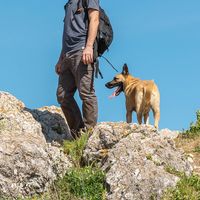 Photos de Benjamin K