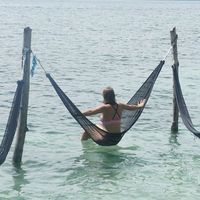 Leslie Dubois的照片