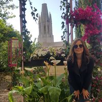 merimer mgm的照片