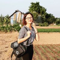 Phạm Gấm的照片