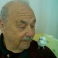 Fotos de David Silverman