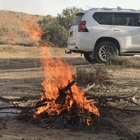 Osama أسامه's Photo