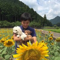 Photos de tomoya Takahashi