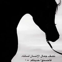 محمد البدراني的照片