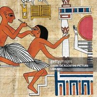 Doctor Pero的照片